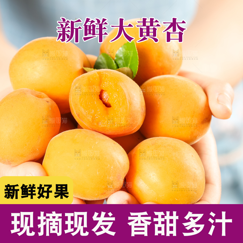 手里拿着黄杏