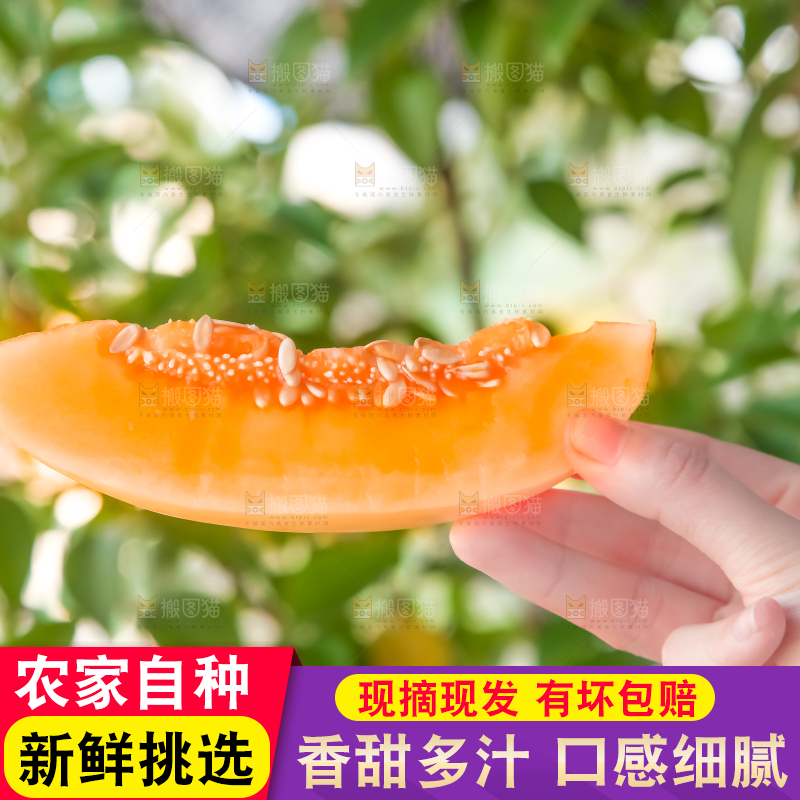 手里拿着东方蜜瓜