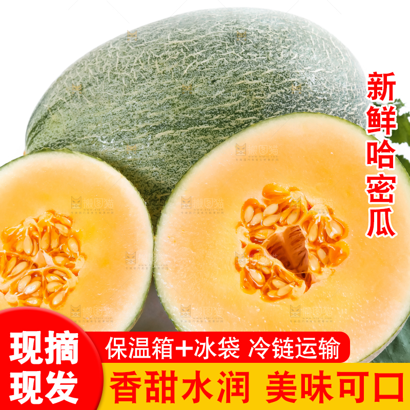 白底上摆放着网纹瓜
