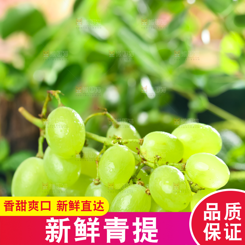 石板上放着澳洲无籽青提