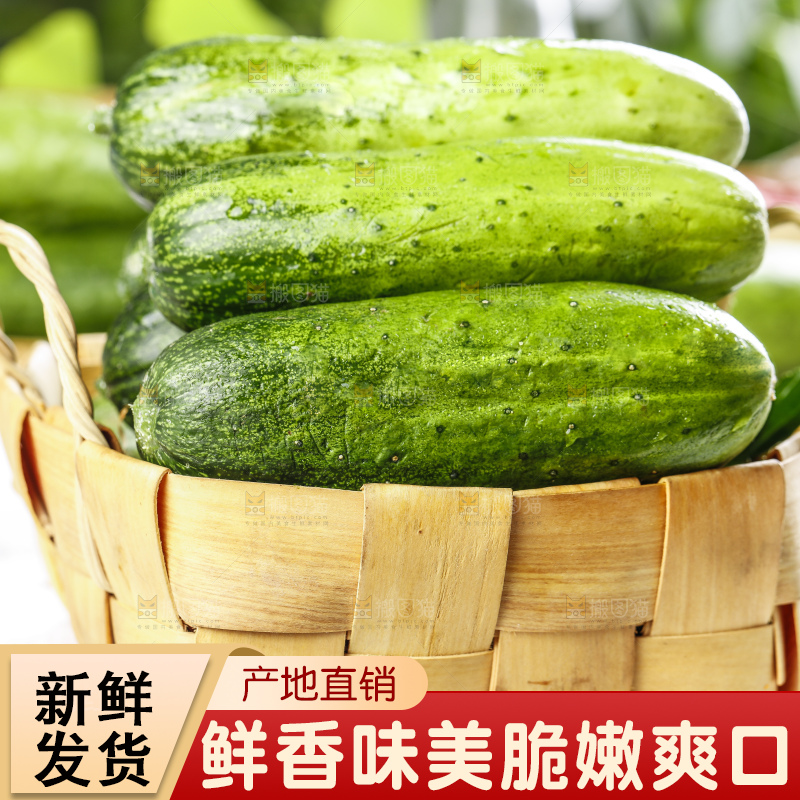 篮子里装着新鲜黄瓜