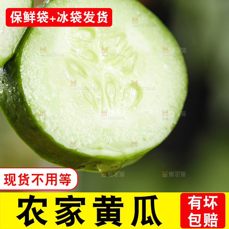 竹签串着切片的黄瓜