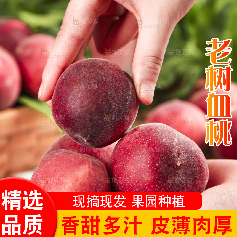 手里拿着胭脂红桃子