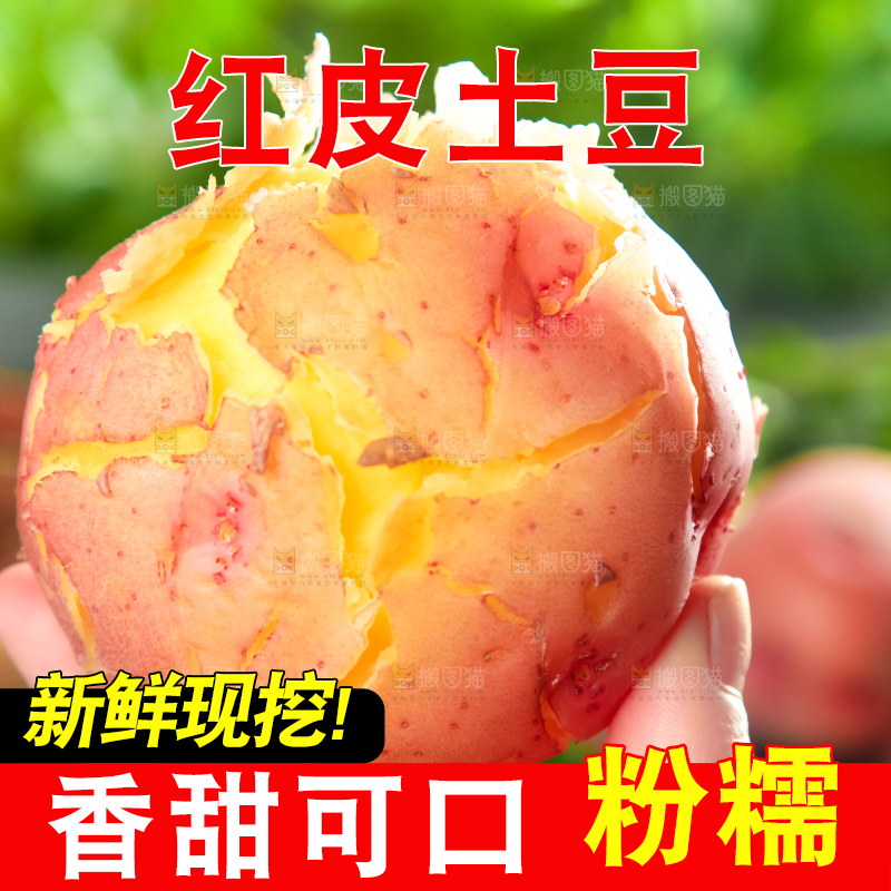 手里拿着土豆