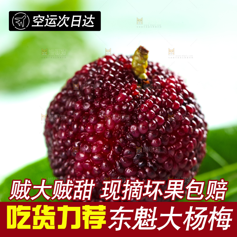 浅底上摆放着杨梅