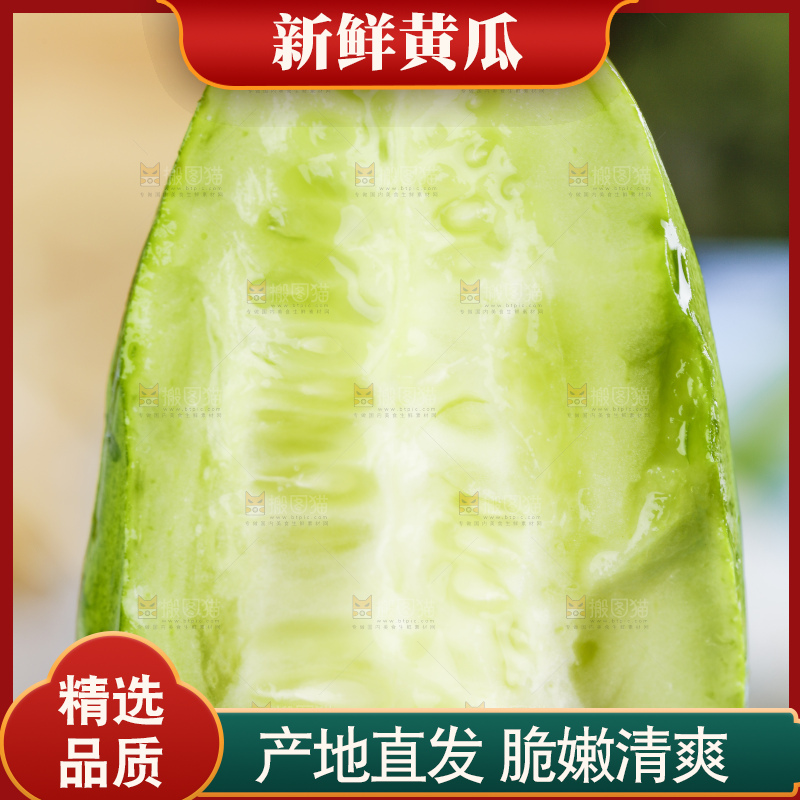 浅底上的嫩黄瓜