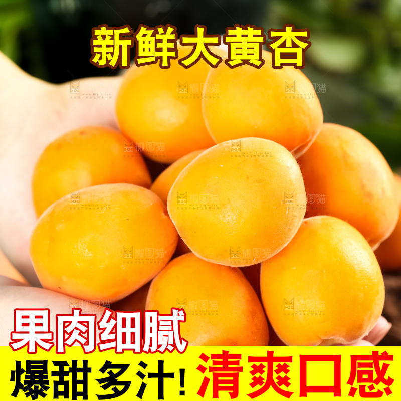 手里捧着杏子
