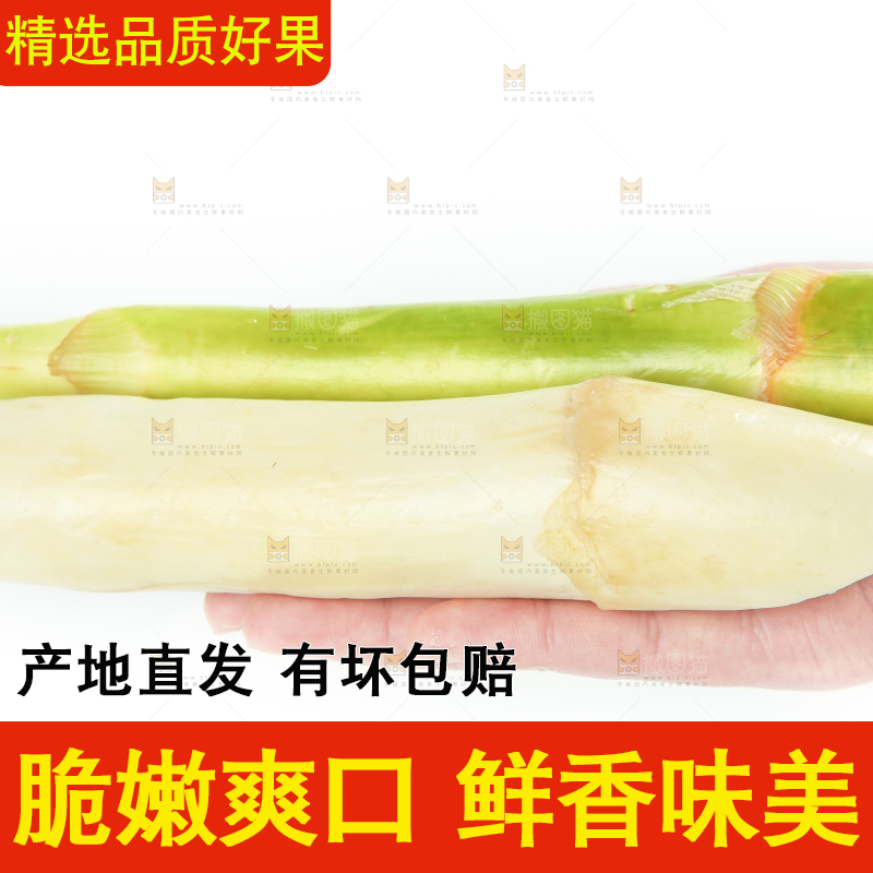 手里拿着茭白