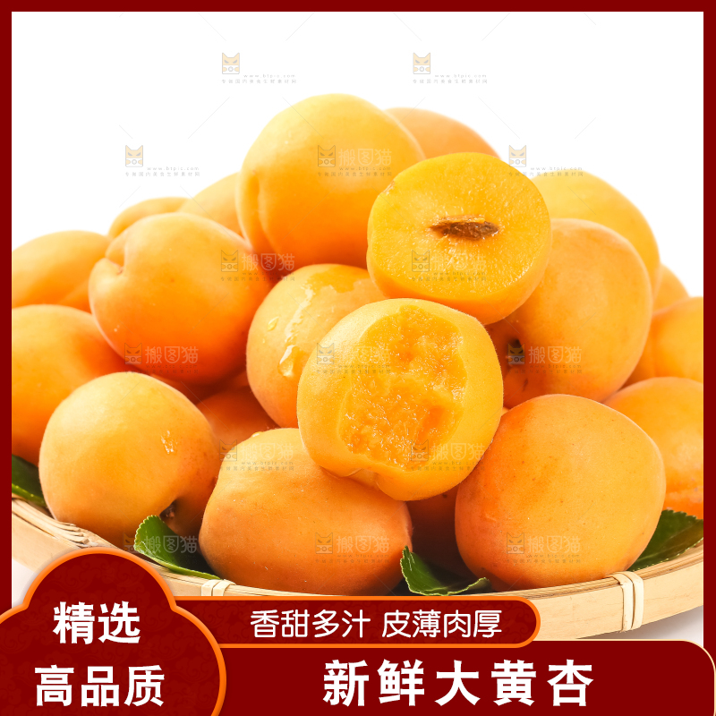篮子里装着山东大黄杏