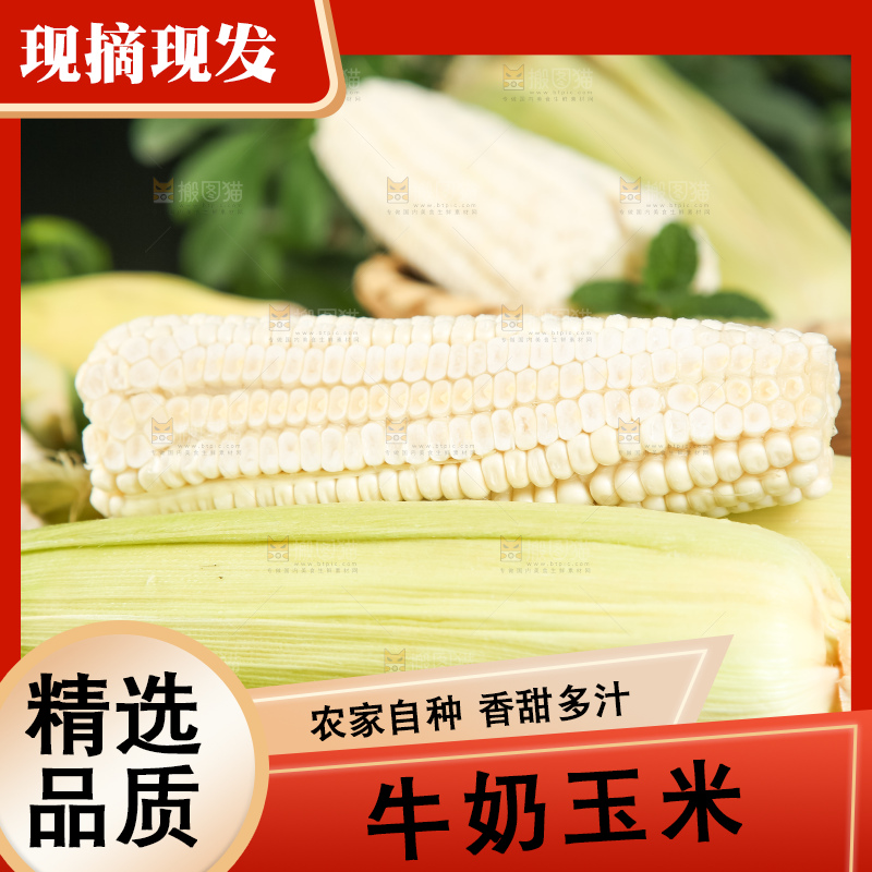 深底上放着漳州牛奶玉米