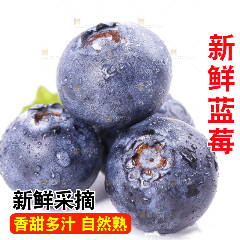 白底上摆放着蓝莓果
