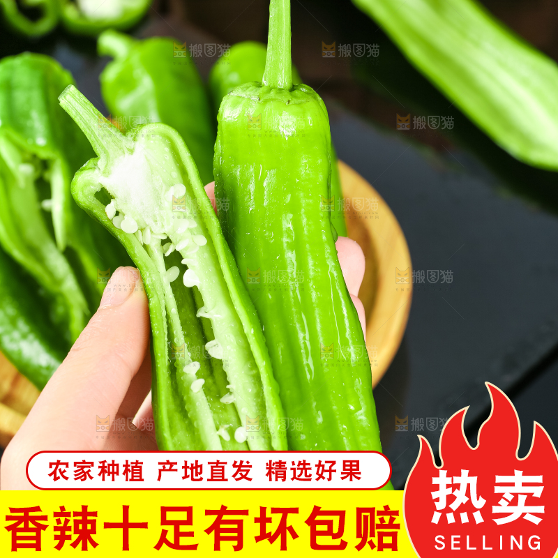 手里拿着青椒