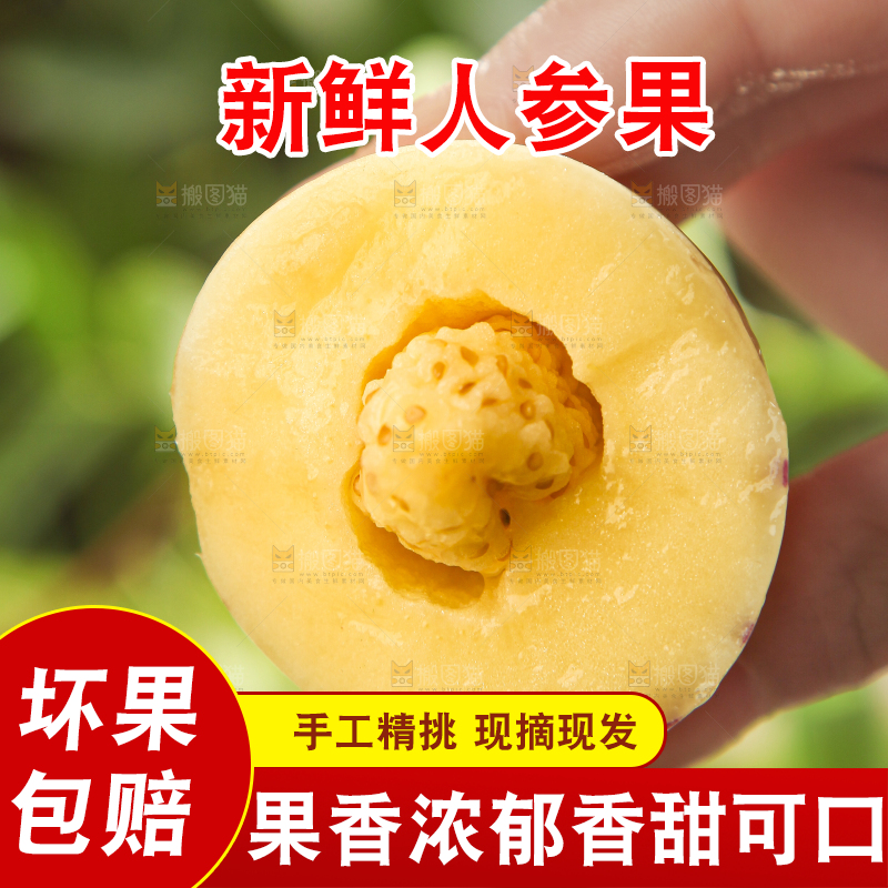 手里拿着人参圆果