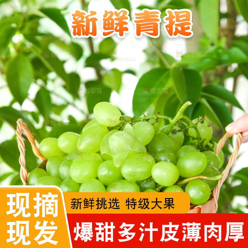 篮子里装着青提葡萄