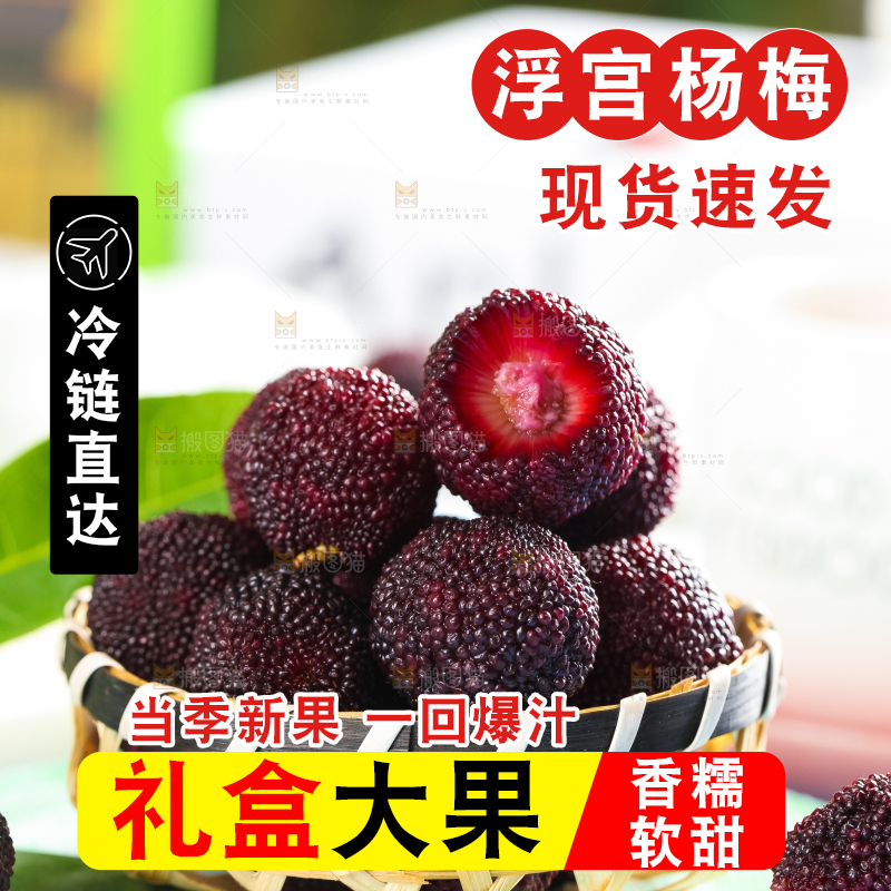 篮子里装着野生杨梅