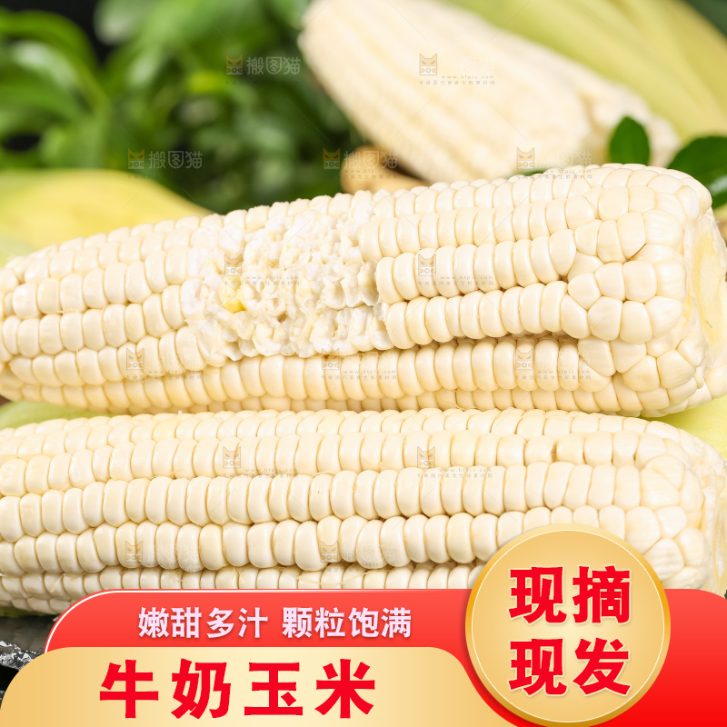 黑底上放着白玉米