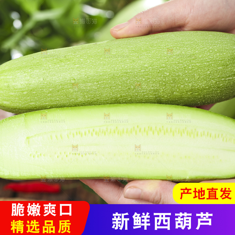 手里拿着茭瓜