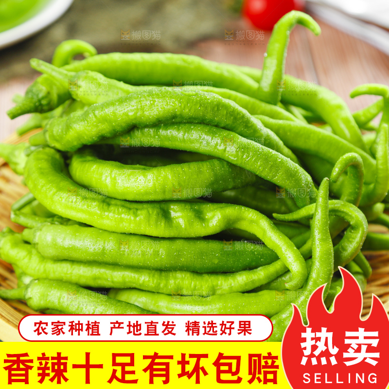 篮子里装着杭椒