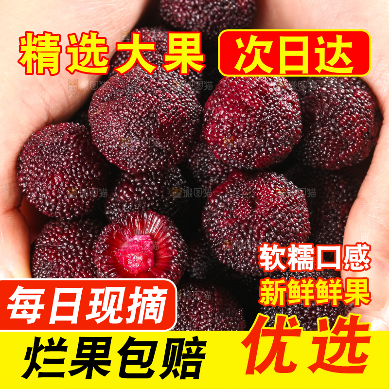 手里拿着杨梅
