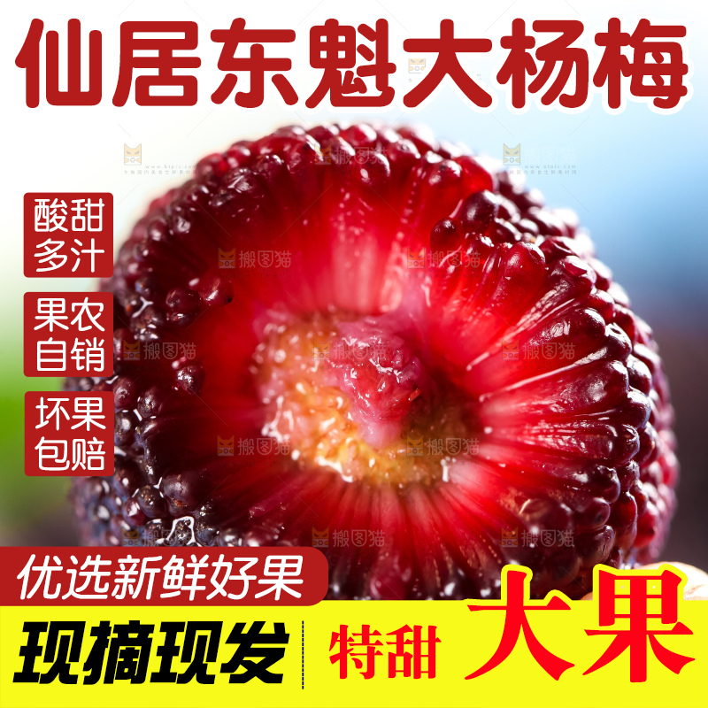 手里拿着杨梅