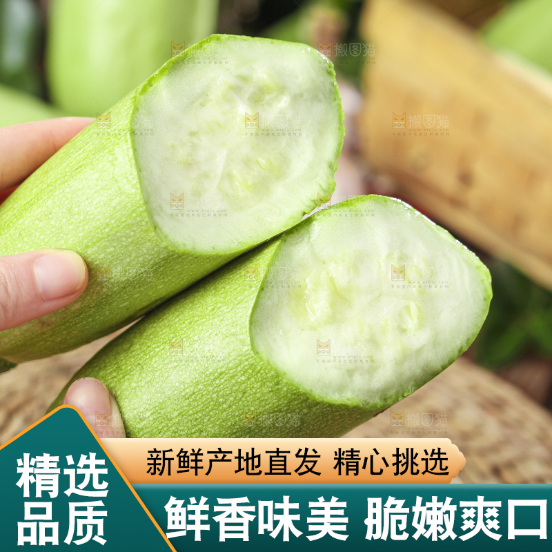 手里拿着茭瓜