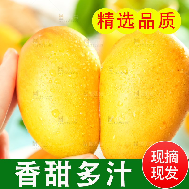 手里端着海南台农芒果