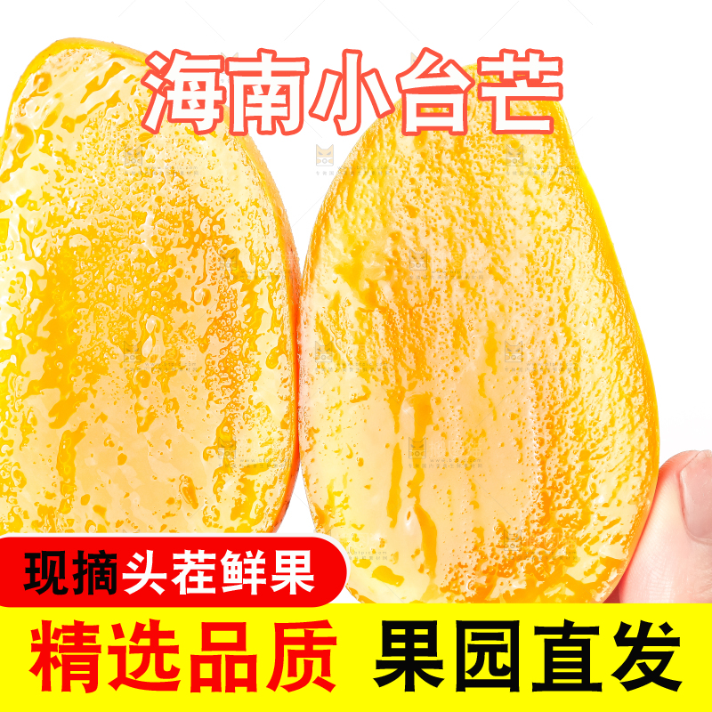 手里拿着台农芒
