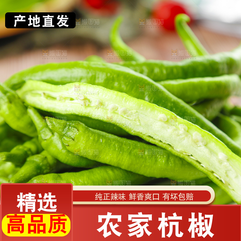 盘子里装着新鲜杭椒