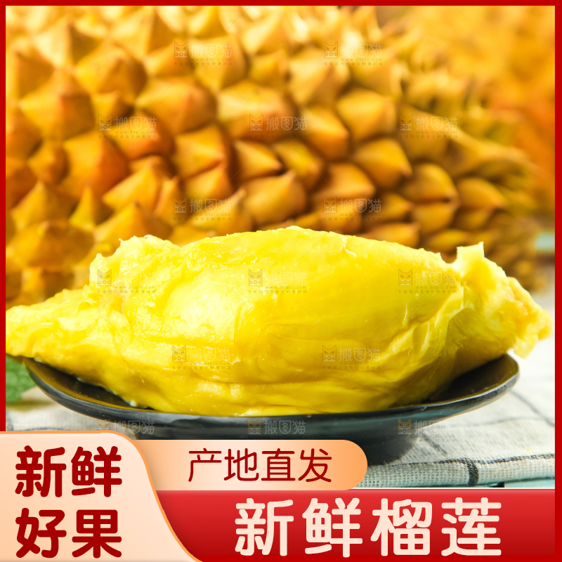 格子底上摆放着金枕头榴莲