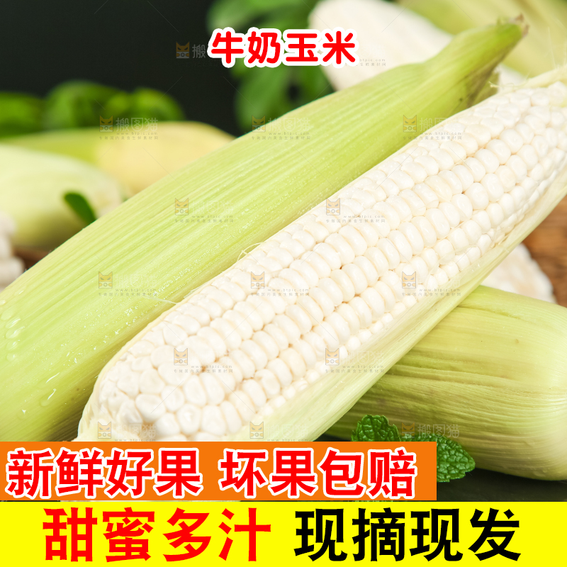 深底上放着漳州牛奶玉米