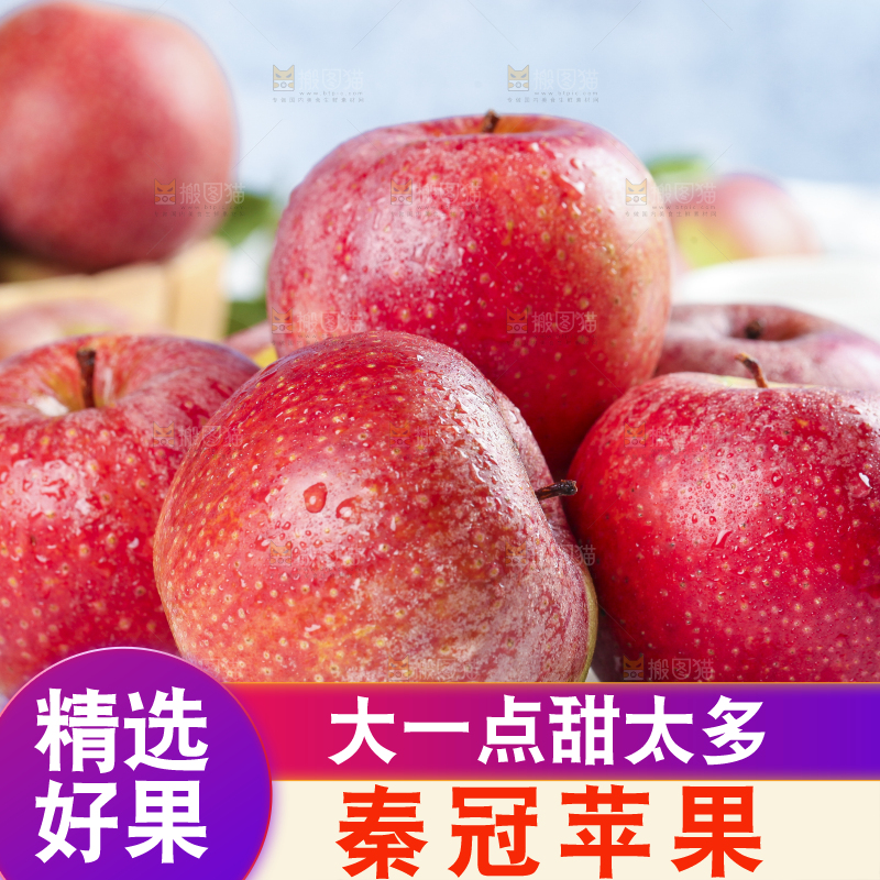 浅底上摆放着秦冠苹果