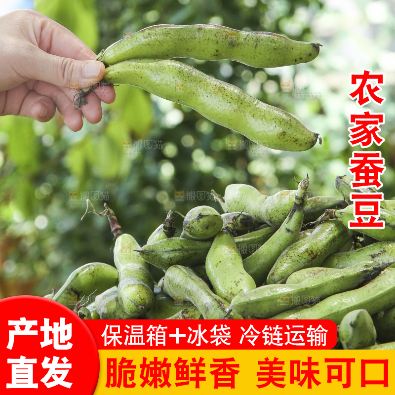 手里拿着生蚕豆
