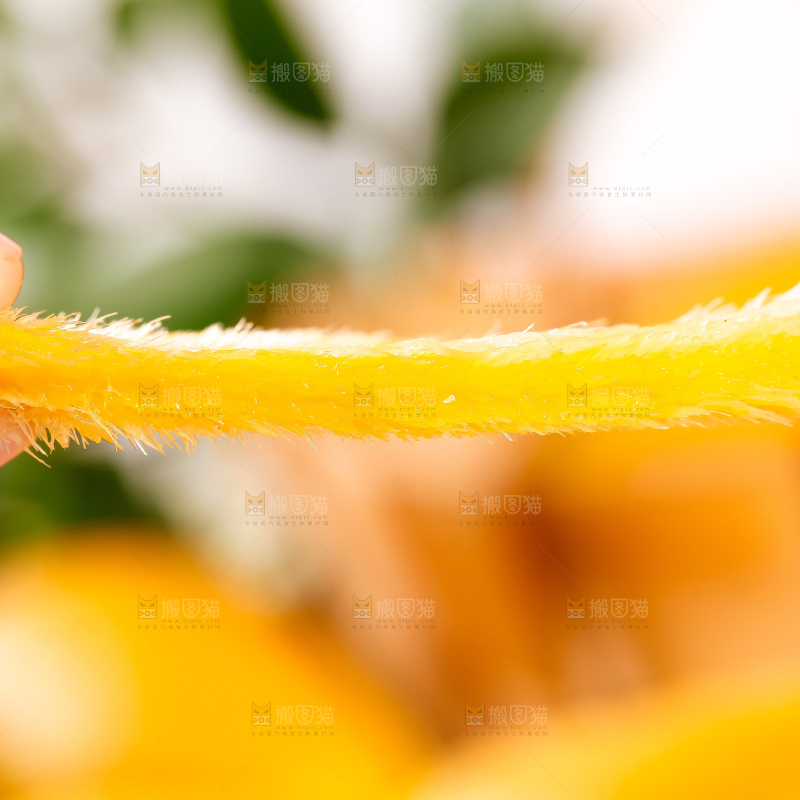 手里拿着芒果的核