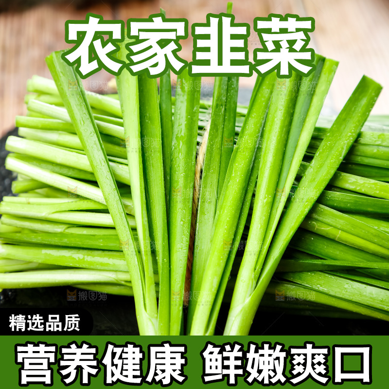 黑底上摆放着韭菜