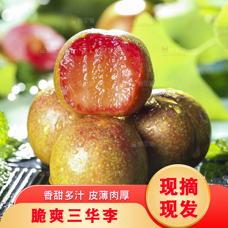 黑底上放着红心三华李