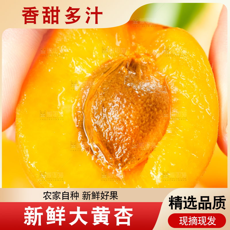 手里拿着杏子