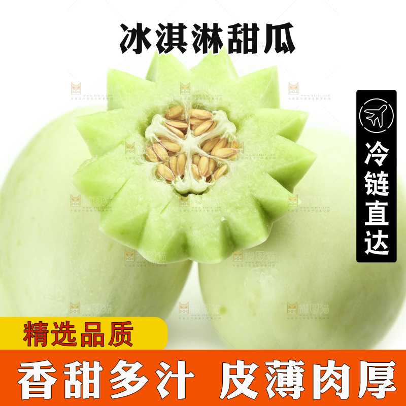 白底上摆放着山东玉菇甜瓜