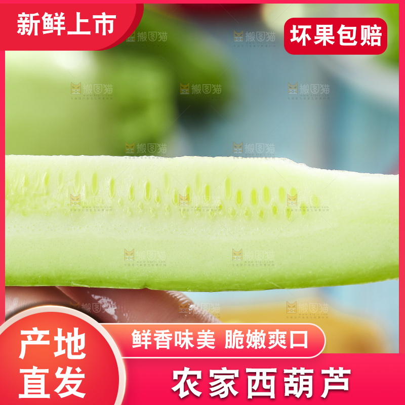 手里拿着嫩茭瓜