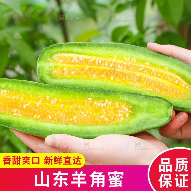 手里拿着羊角蜜甜瓜