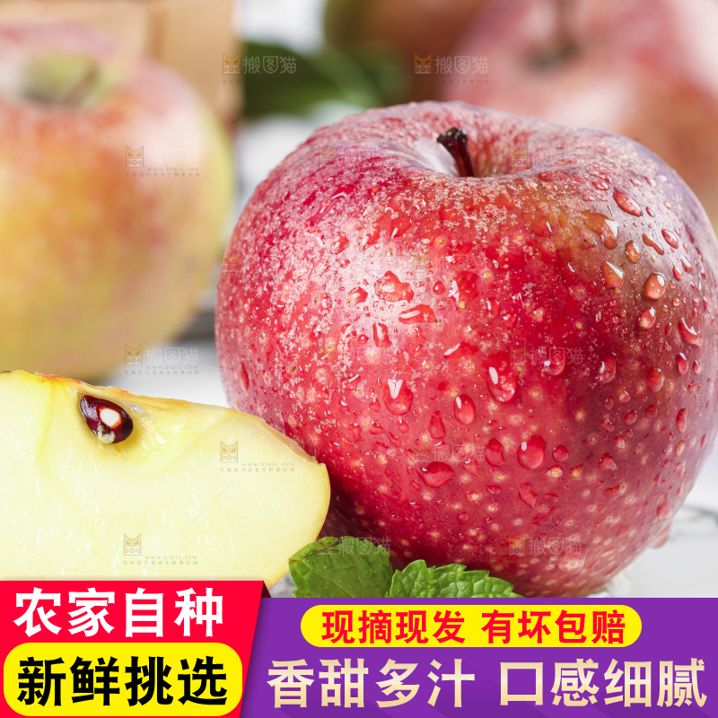 浅底上摆放着秦冠苹果