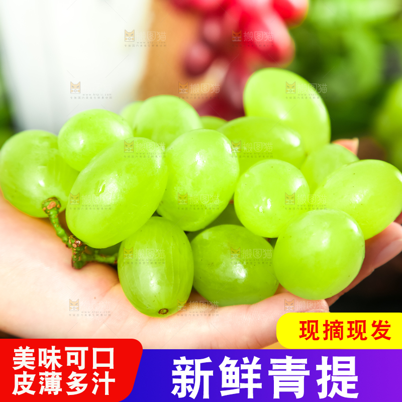 手里拿着青提