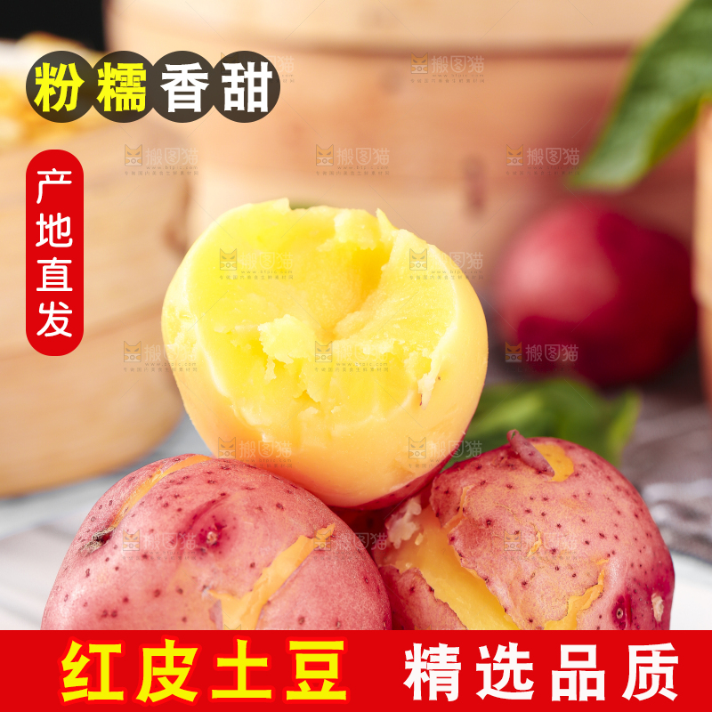 白底上摆放着新鲜土豆