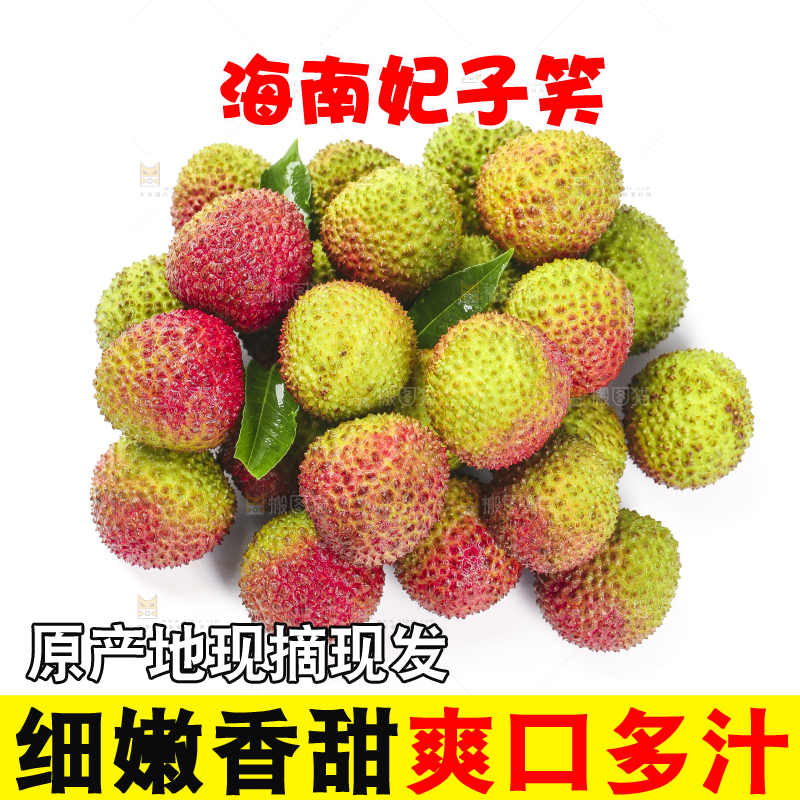 白底上摆放着妃子笑荔枝