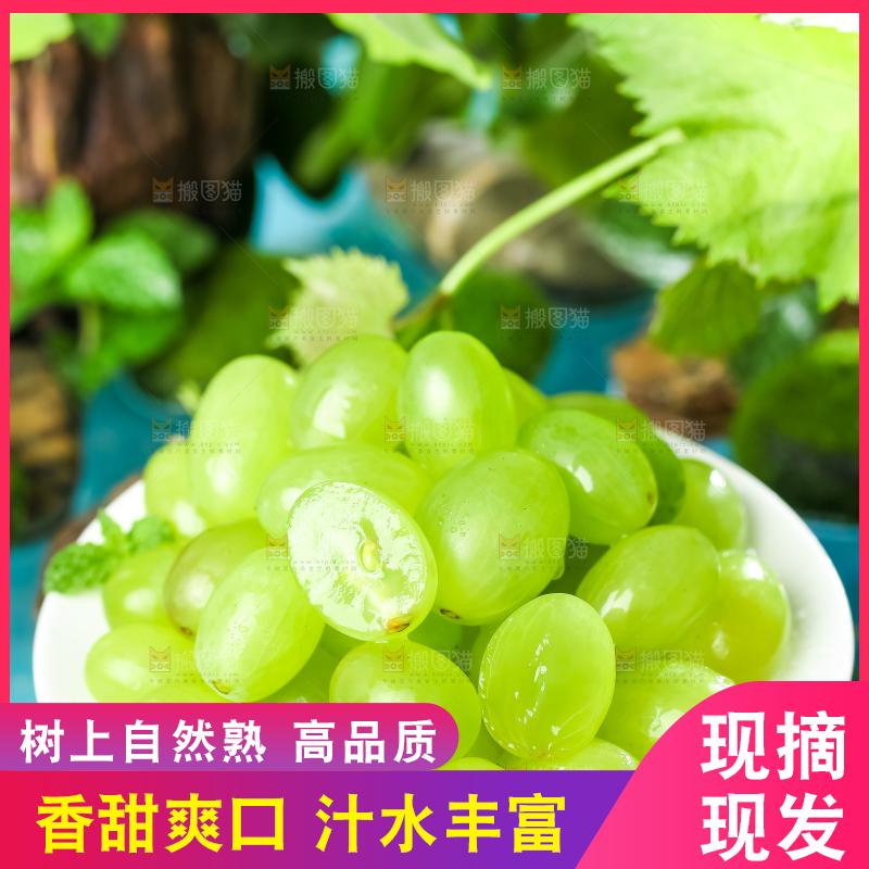 盘子里装着青提