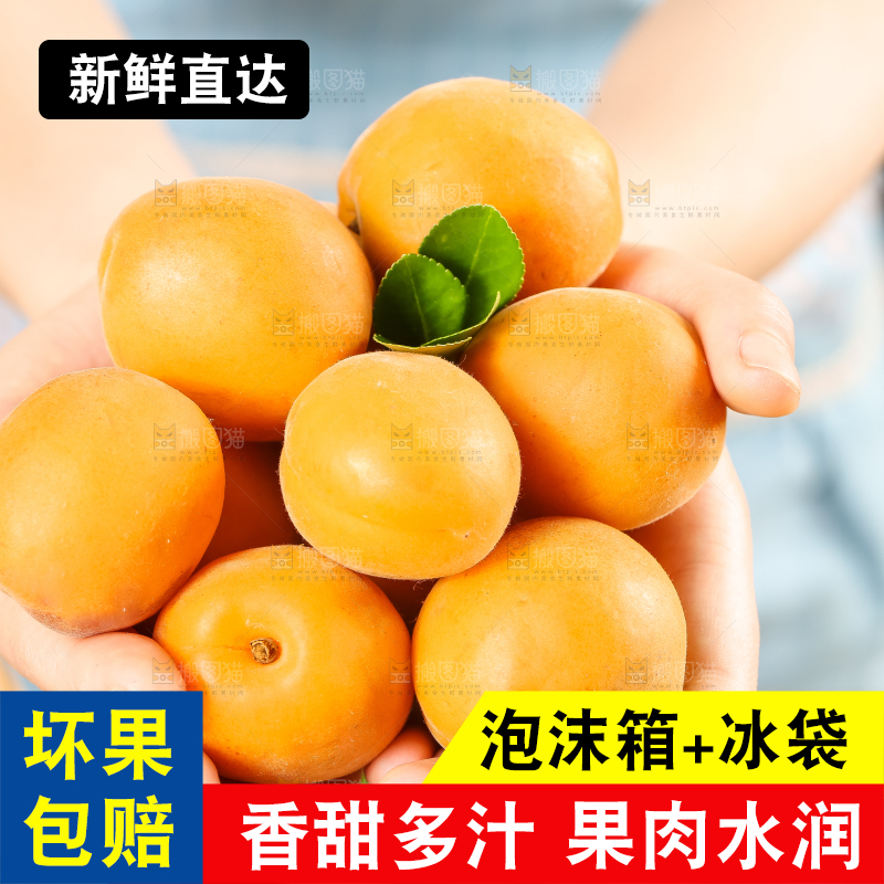 手里拿着黄杏