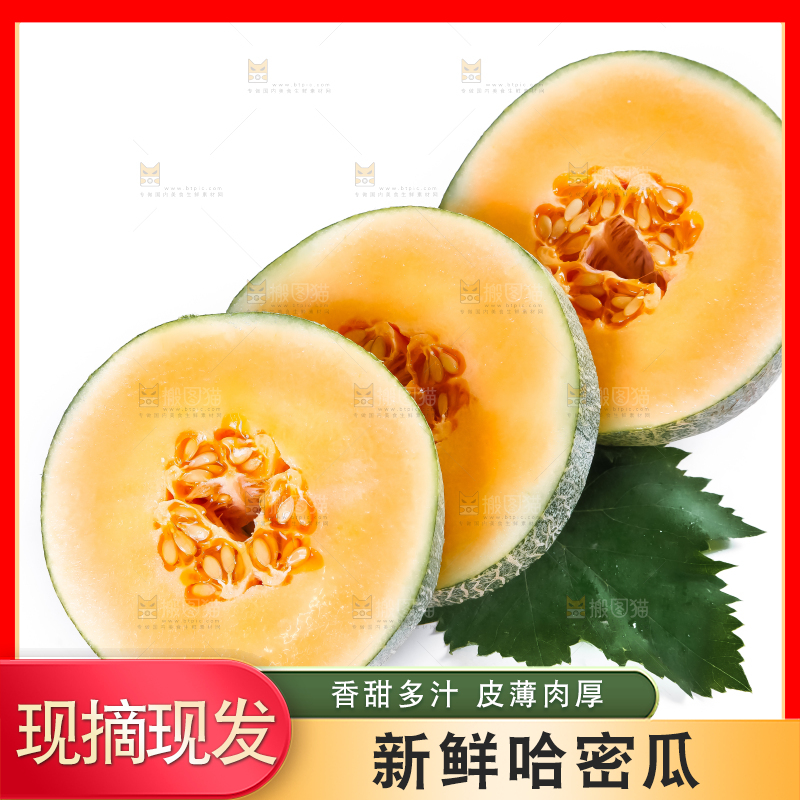 白底上摆放着网纹瓜