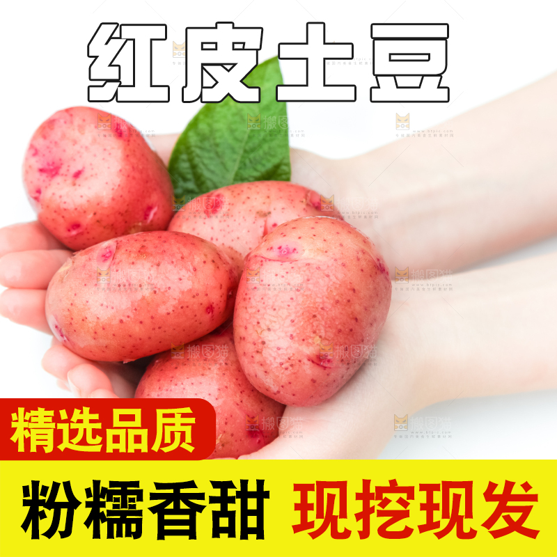 手里拿着土豆