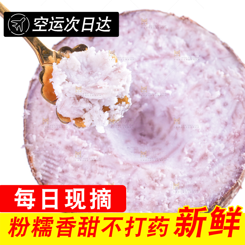 白底上摆放着新鲜芋头