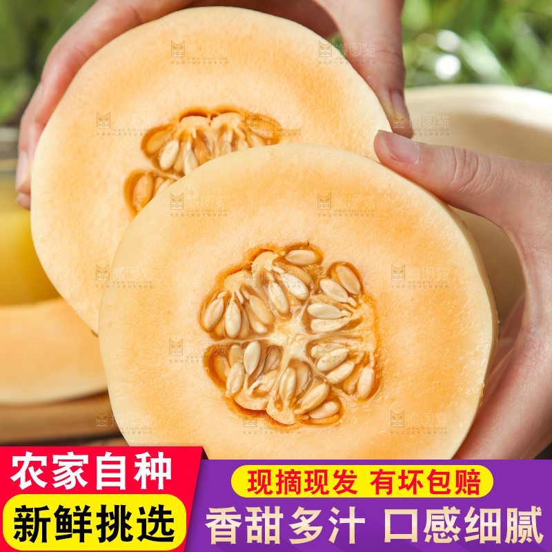 手里拿着蜜瓜