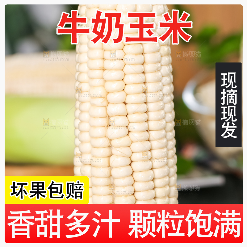 木板上摆放着漳州牛奶玉米